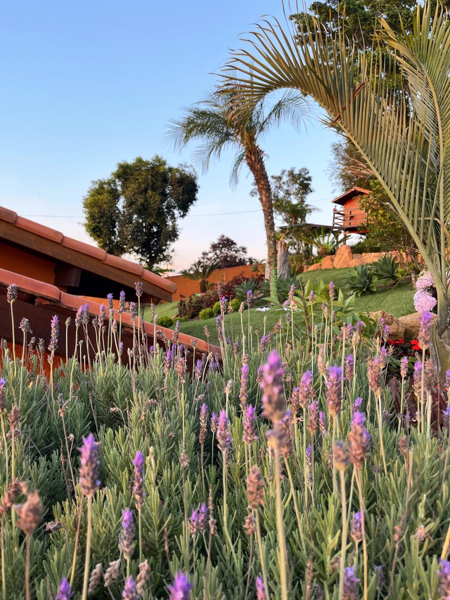 Chacara Santa Therezinha Villa Atibaia Dış mekan fotoğraf