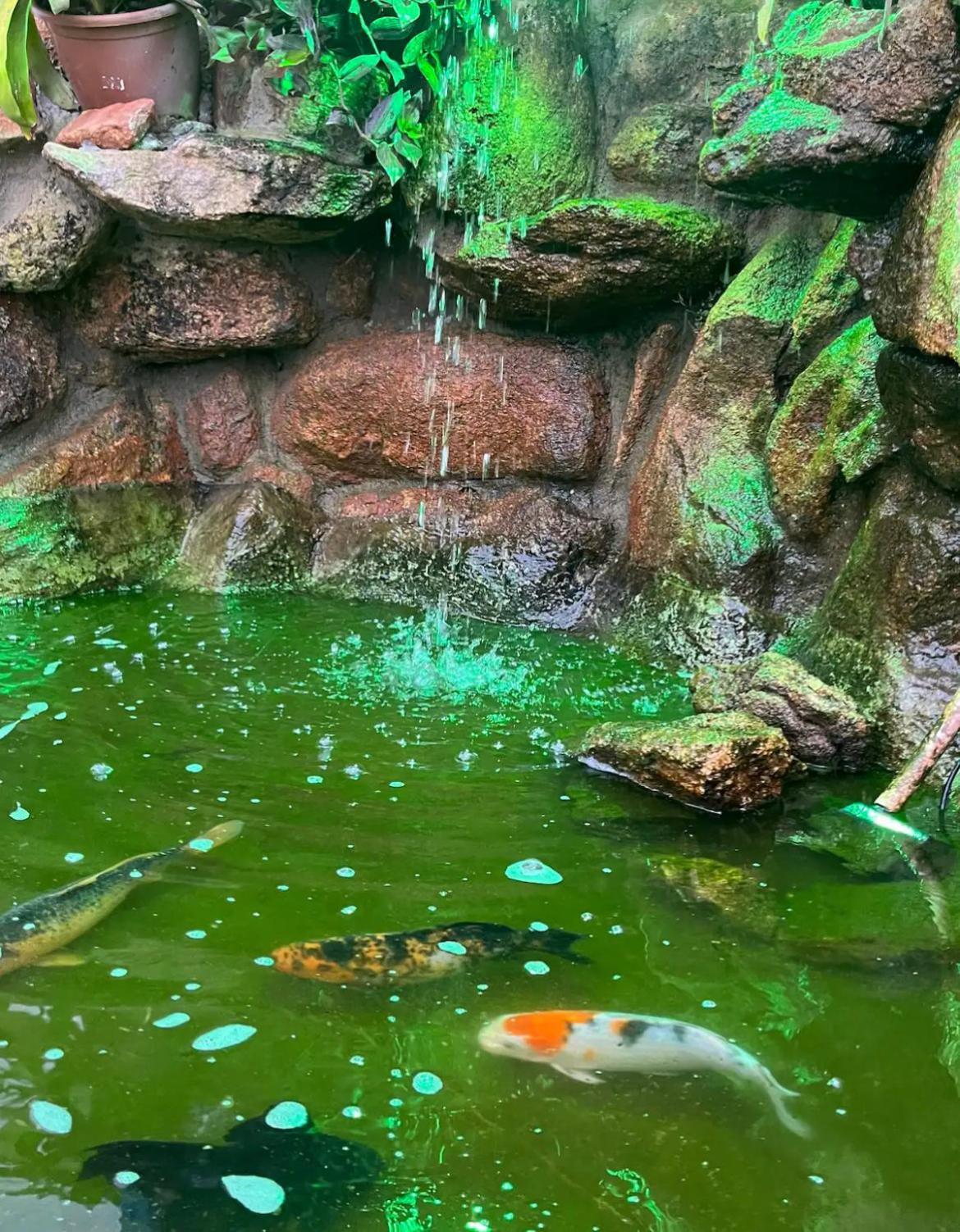Chacara Santa Therezinha Villa Atibaia Dış mekan fotoğraf